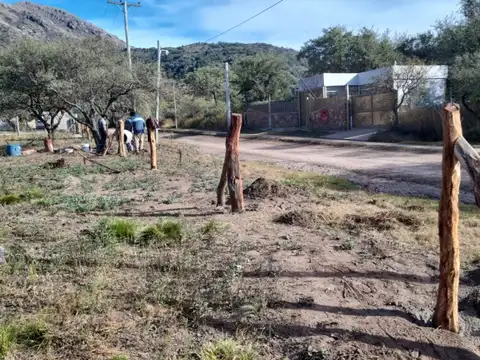 Terreno en Venta de 3000,0 m2