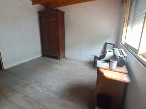 Ameghino