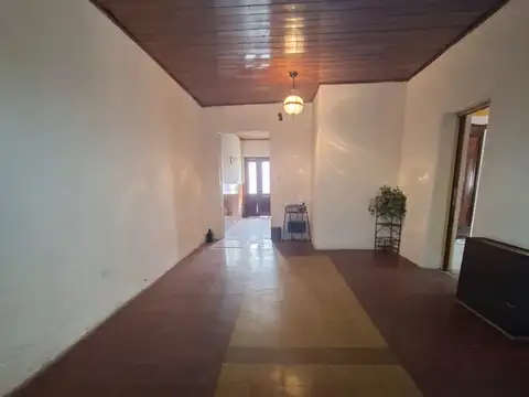 Ameghino
