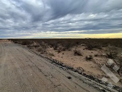 En Venta | 5 Hectaréas | Ruta 67 Provincial | Neuquén