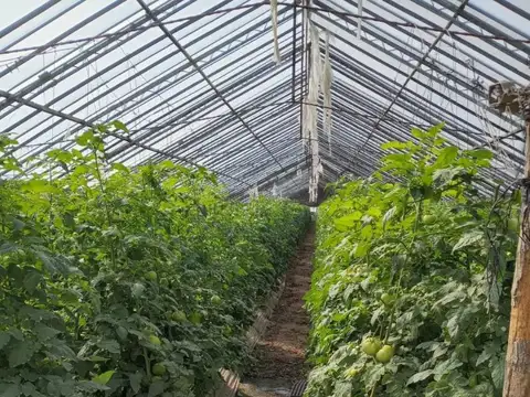 Venta Campo 44 Ha Mixto en Zárate - Frente a Ruta 9