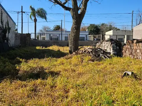 Terreno en Venta 25  mts Fondo