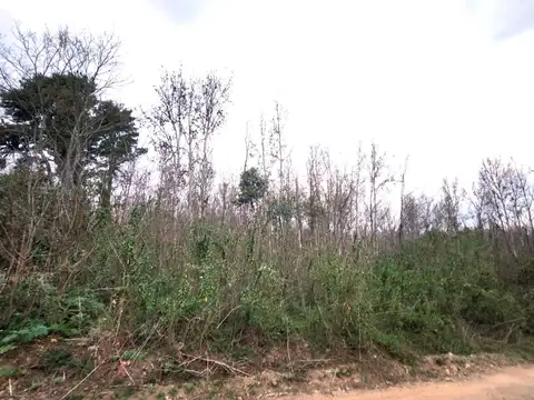 Calle publica s/n; lote 22 mza 25, YACANTO