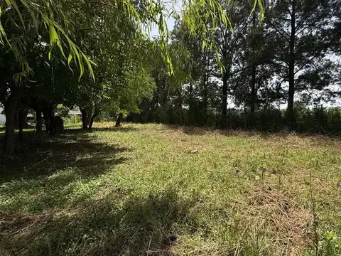 ¡Una oportunidad única: terreno en barrio residencial esperando ser parte de tus sueños! Calle Levene e/246 y 250