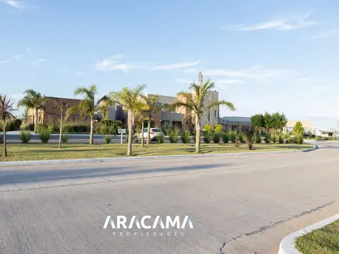 La Alameda 100