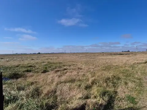 CAMPO CON CASA EN VENTA BRANDSEN 4.5 HECTÁREAS