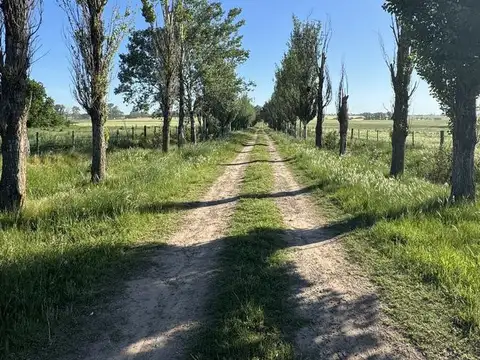 VENTA - HARAS  - 89 HECTAREAS - ARRECIFES