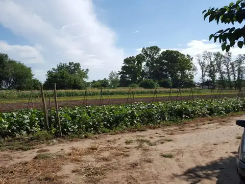Camino A 60 Cuadras Km 10 Y Medio