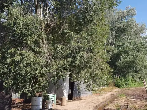 VENTA TERRENO CAMINO A 60 CUADRAS