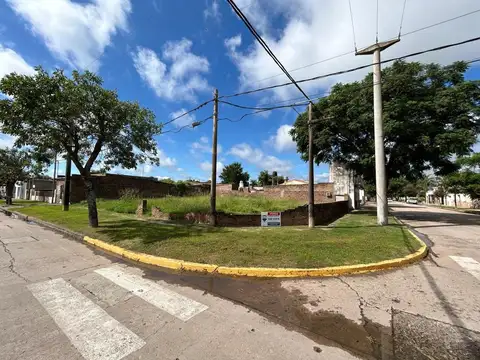 Presidente Mitre 100