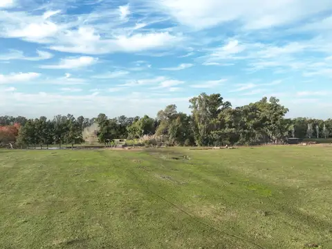 Campo en Venta de 28  ha