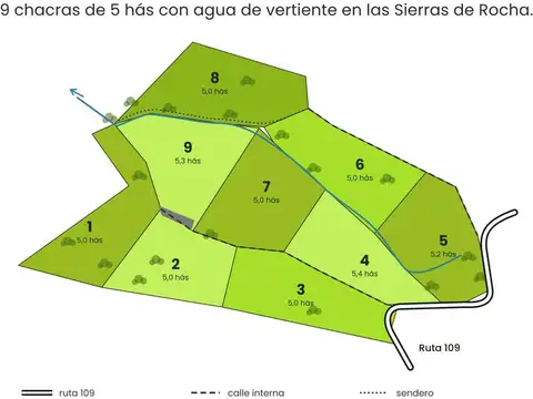 Entre Vertientes