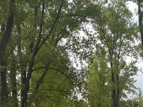 Terreno en Venta de 5000,0 m2