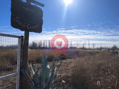 Terreno en Alquiler en Cipolletti, $ 2.900.000