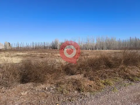 Terreno en Alquiler 173  mts Frente