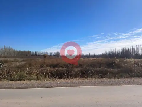 Terreno en Alquiler de 60000,0 m2