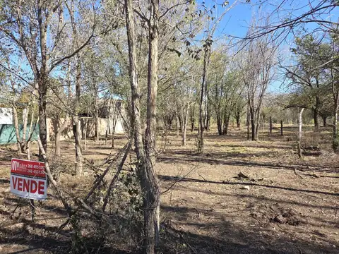 Las Acacias 100