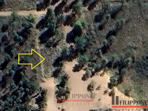 Terreno en Venta en Pehuen Co, USD 38.500