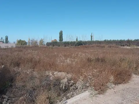 ruta 60
