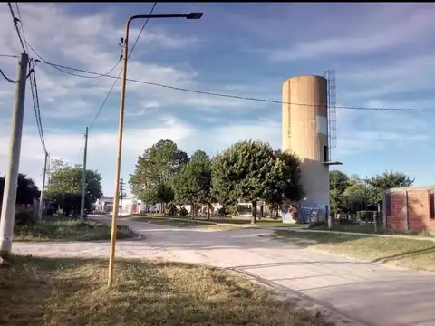 Samaniego 2074
