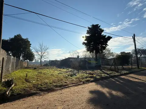 Samaniego 2074