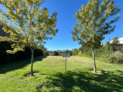 Terreno en Venta, FOT 45
