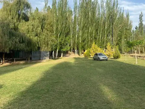 Ruta 60, Barriales, Junín, Mendoza