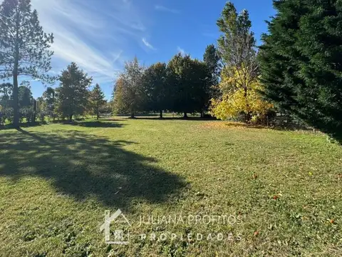 Ruta 2 Km 65 Lote / N° 0