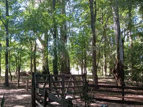 Ruta 2 km 65 100