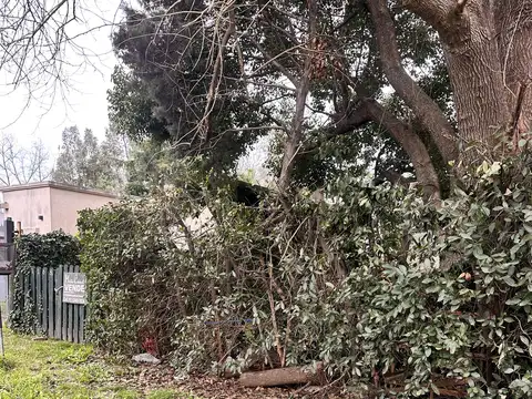 Los Olivos 1100