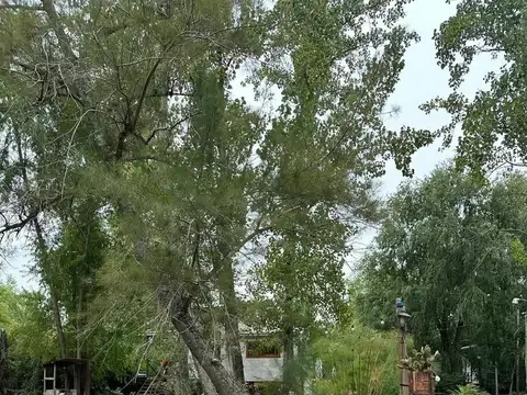 Fondo Comercio en Venta en Delta del Tigre, USD 125.000