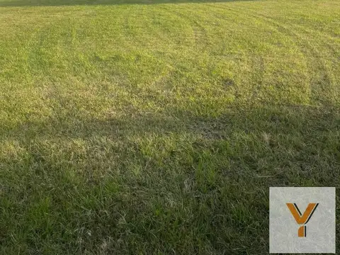 Terreno en venta - 800Mts2 - Cañuelas