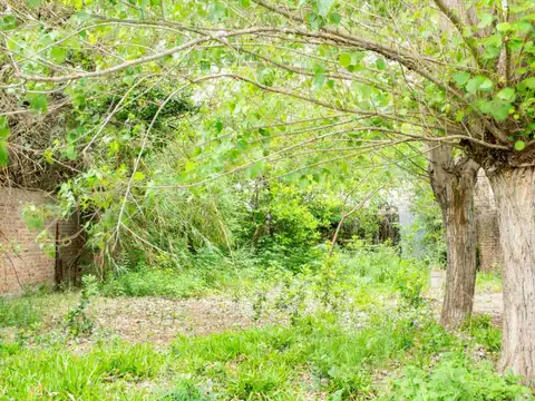 TERRENO VENTA EL PALOMAR