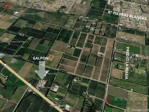 FERNANDEZ ORO SOBRE RUTA 22 - GALPON EN ALQUILER DE 168 M2