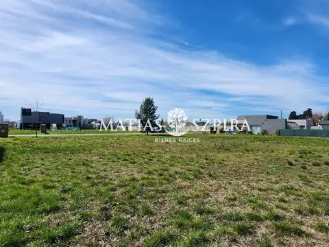 Carola Lorenzini 4600