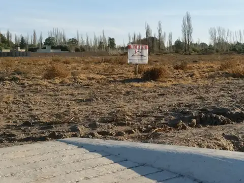 Loteo las carreras, las paredes