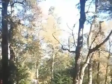 Venta Lote 2300 m2 en B° Los Robles SMAndes