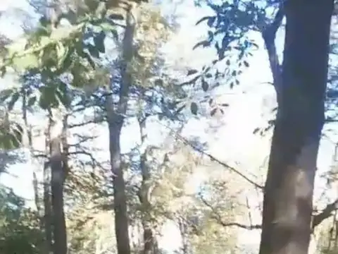 Terreno en Venta en San Martin De Los Andes, USD 80.000