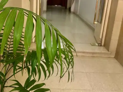 Departamento Semi Piso c/fte son 3 amb c/dependencia totales 72.90m2 Super Luminoso