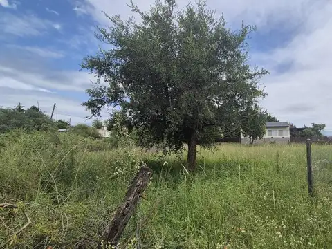 Terreno en Venta en Villa Parque Siquiman, USD 22.000