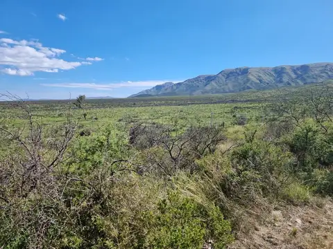 VENTA LOTE EN LOS COCOS CORDOBA