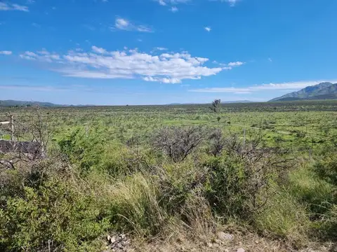 Terreno en Venta de 695,0 m2