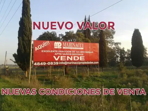 Ruta 2 100