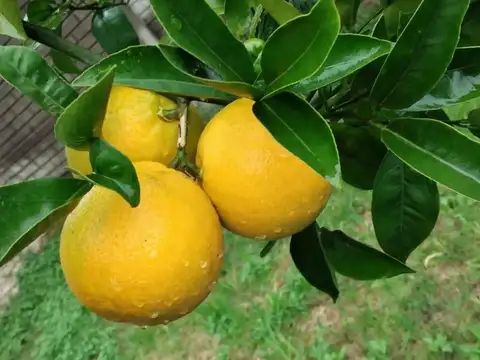 Casa en Venta en La Plata, USD 80.000