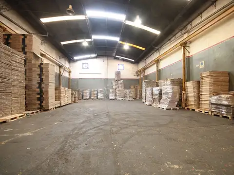 GALPON CON PUENTE GRUA Y 2 VIVIENDAS PLANTA ALTA