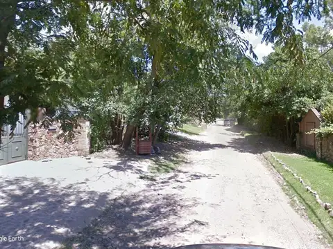 Los Chimangos y La Calandria