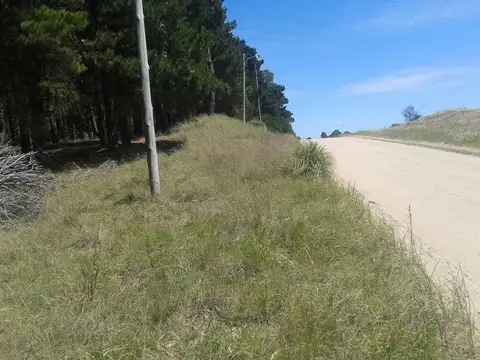 Terreno en Venta 45  mts Fondo