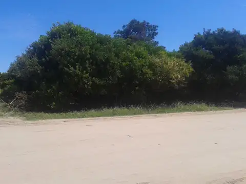 EXCELENTES LOTES M/H DE 3.145 - Las Gaviotas |Cod. 0344