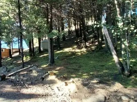 BARRIO LOS RISCOS ,SAN MARTIN DE LOS ANDES 100