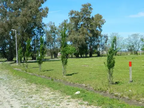 Terrenos en venta - 2.000Mts2 - Los Retoños, Luján